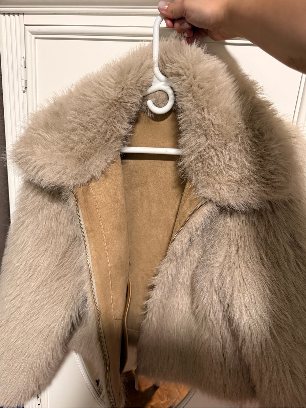Zara Plush Taupe Teddy Jacket with Suede Trim